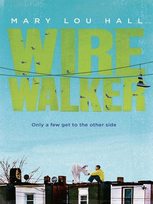 cover image of Wirewalker